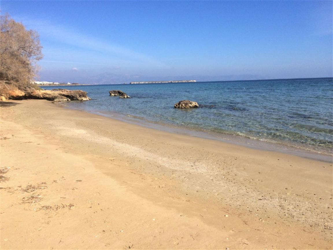 Tonia Apartments Paros Χρυσή Ακτή Εξωτερικό φωτογραφία